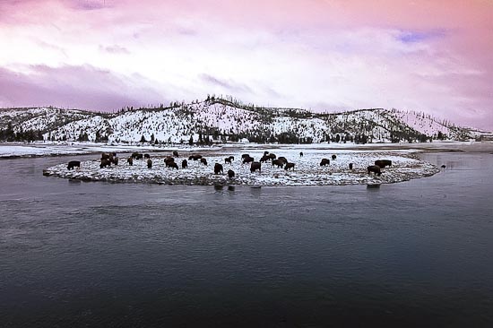 Yellowstone Park